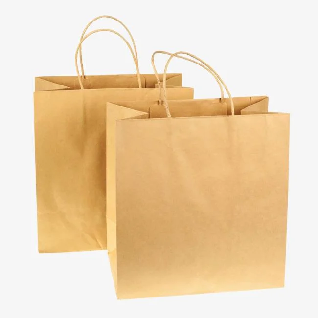 Kraft Paper Gift Bag Twisted Handle Shopping Bag Non Woven Bag