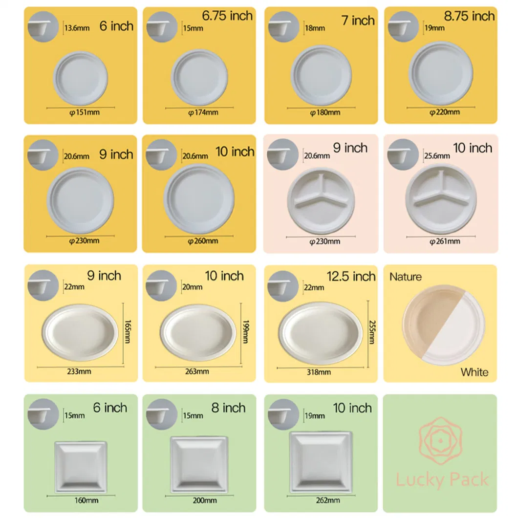 Biodegradable Tableware