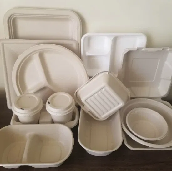 Bagasse 식기 생분해 성 식품 용기 사탕 수수 도시락 샐러드 그릇 스시 트레이 접시 테이크 아웃 식품 포장